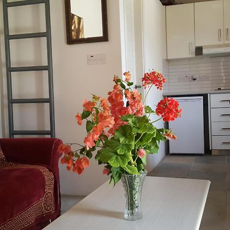 Kaizer Agrotourism Konuk evi Amargeti Oda fotoğraf