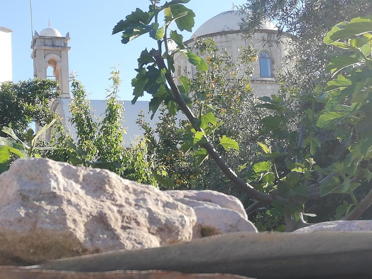 Kaizer Agrotourism Konuk evi Amargeti Dış mekan fotoğraf