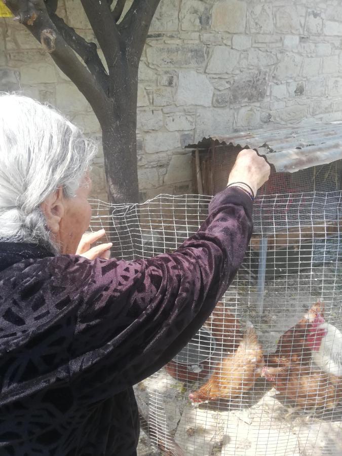 Kaizer Agrotourism Konuk evi Amargeti Dış mekan fotoğraf