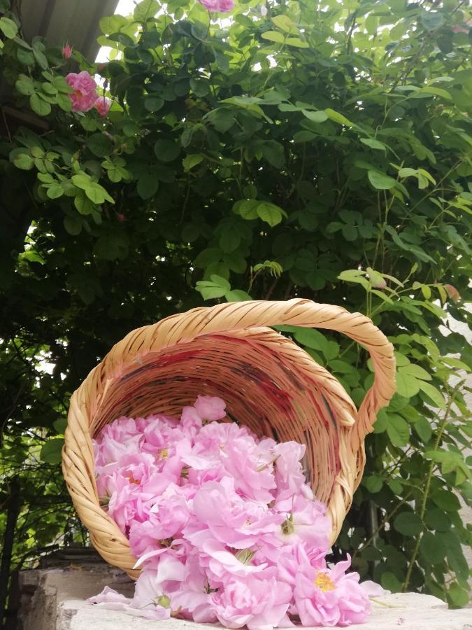 Kaizer Agrotourism Konuk evi Amargeti Dış mekan fotoğraf