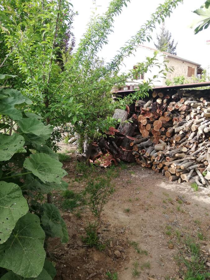 Kaizer Agrotourism Konuk evi Amargeti Dış mekan fotoğraf