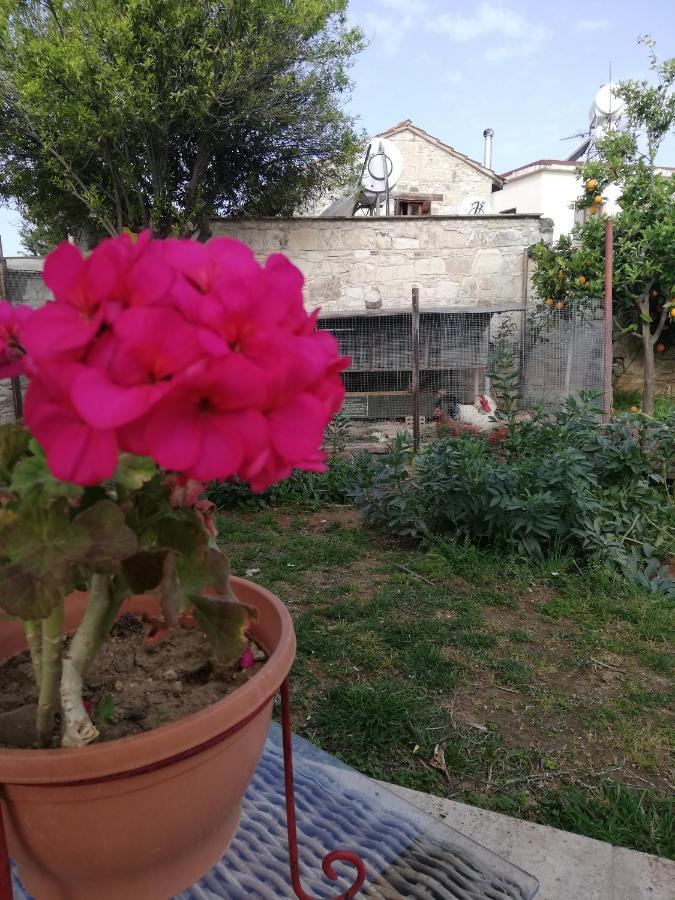Kaizer Agrotourism Konuk evi Amargeti Dış mekan fotoğraf