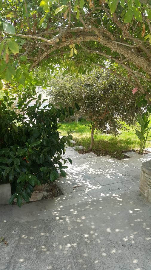 Kaizer Agrotourism Konuk evi Amargeti Dış mekan fotoğraf