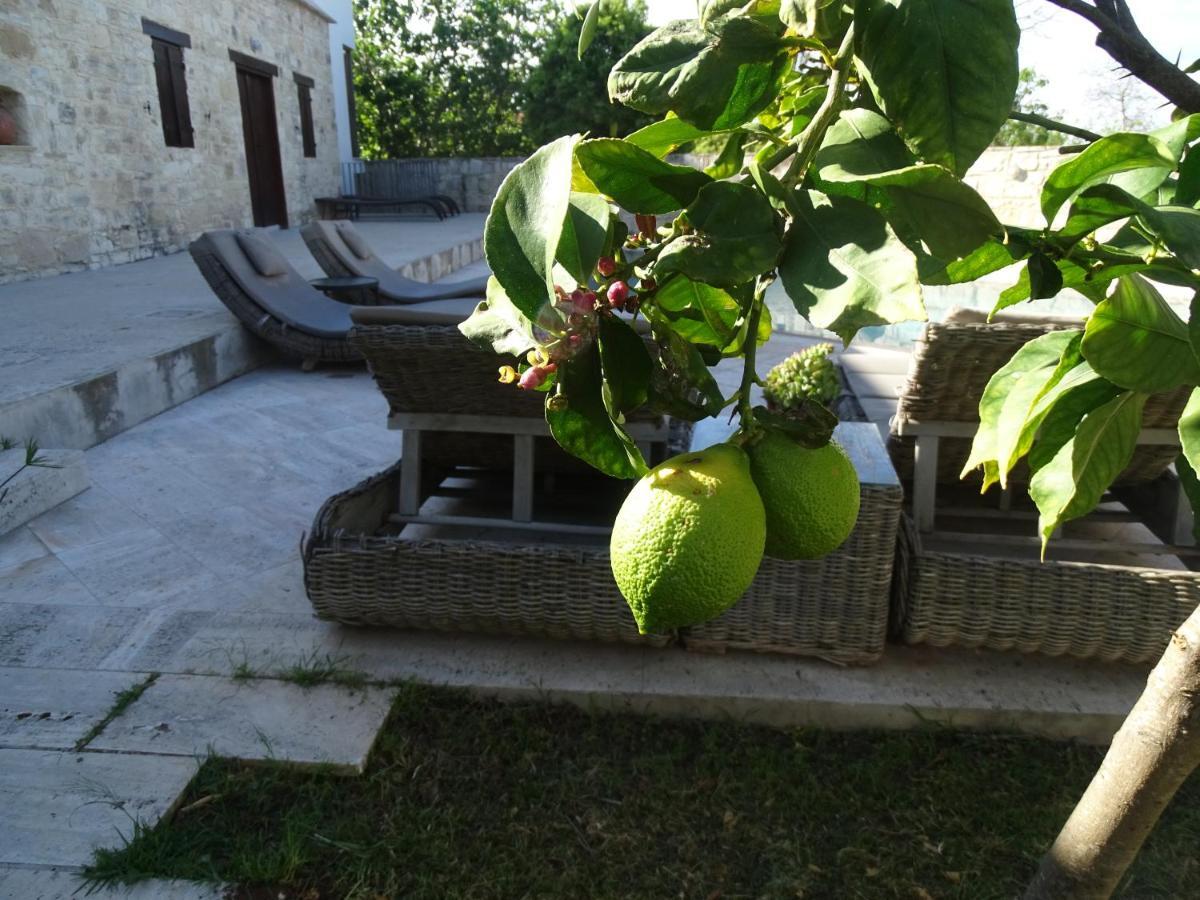 Kaizer Agrotourism Konuk evi Amargeti Dış mekan fotoğraf